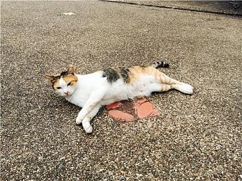 《光与影：33号远征队》Steam在线超7万 CEO竟来自育碧