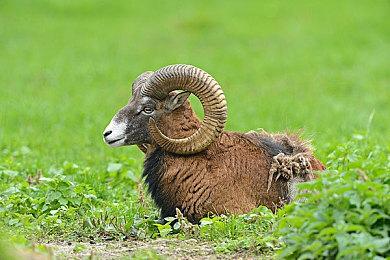 《仙剑奇侠传7》v1.1.0版本更新 新增饰品修复错误