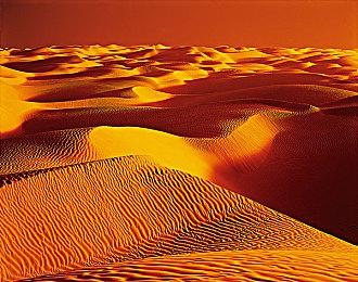 《真女神转生5》新中文预告 红衣妹子性感迷人