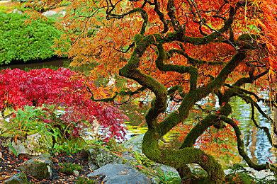 EA和Gearbox抗议美国德州州长推出反LGBTQ+法令