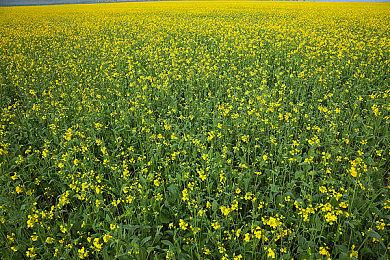 国产赛博朋克肉鸽动作游戏《生死轮回》发售 特惠价72元